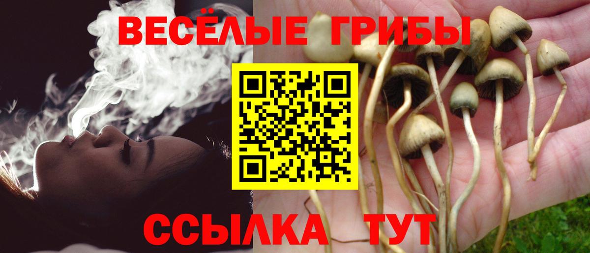 Псилоцибиновые грибы Psilocybe  Галлюциногенные грибы Psilocybine cubensis  Вход с VPN  Тавда 