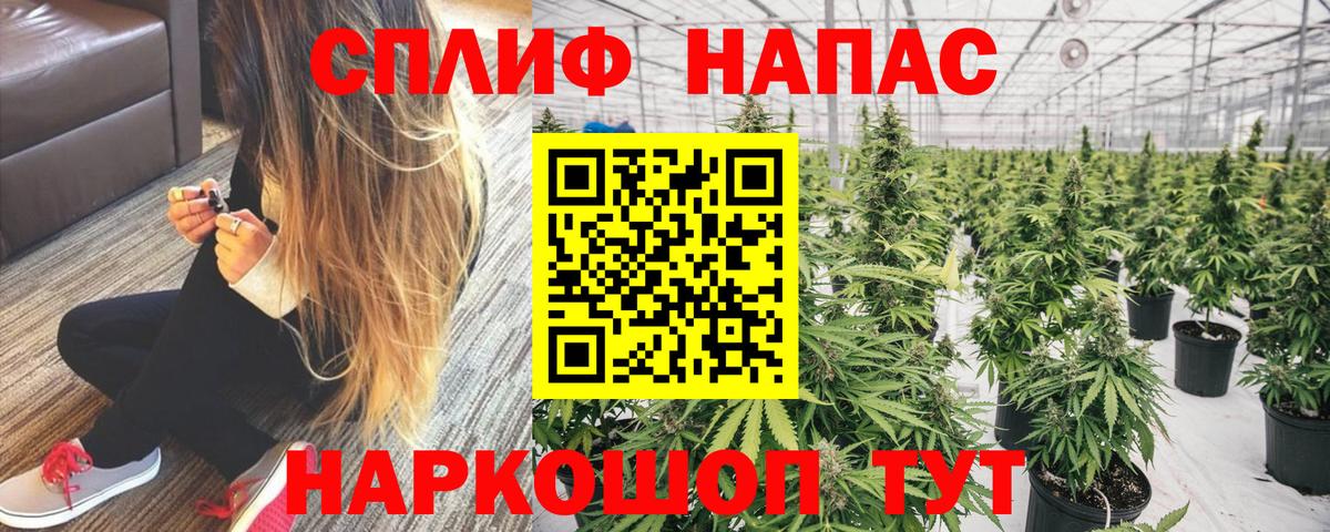 Канабис AK-47 Тавда